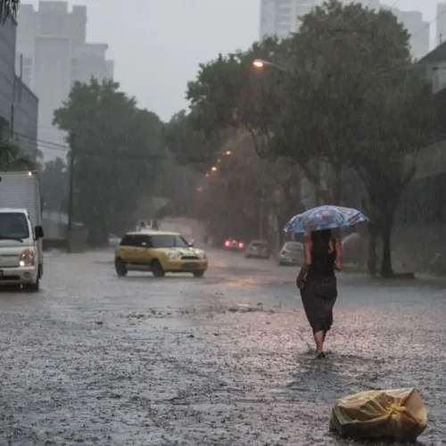 Entre Gotas e Desafios: O Impacto das Chuvas e as Lições da Natureza