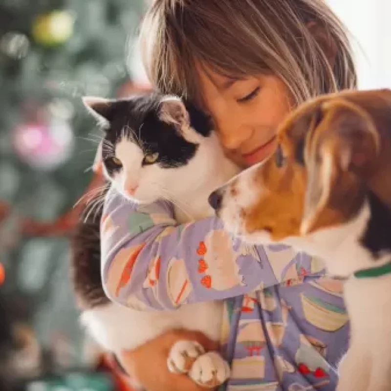 Companheiros de Quatro Patas: A Importância de Crianças Terem Gatos ou Cachorros em Suas Vidas